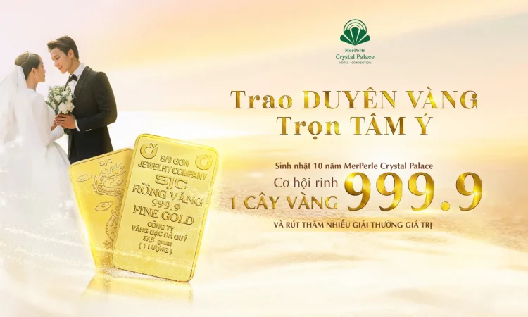 banner-website